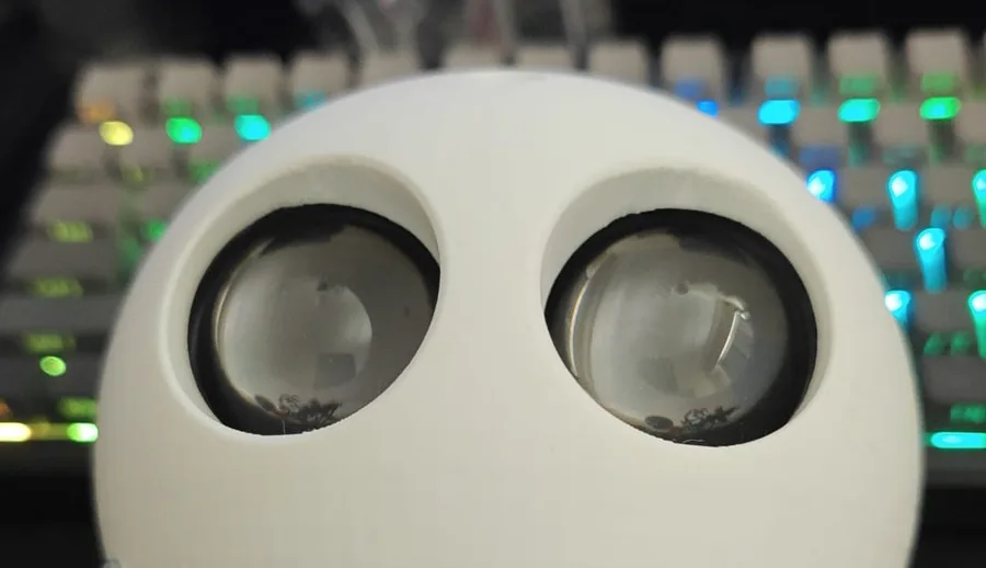 Foto: MILIs Kopf mit den Augen-Fenstern